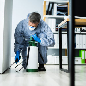 Seasonal Infestation Triggers Explained by Experts in Pest Control Southeastern Wisconsin