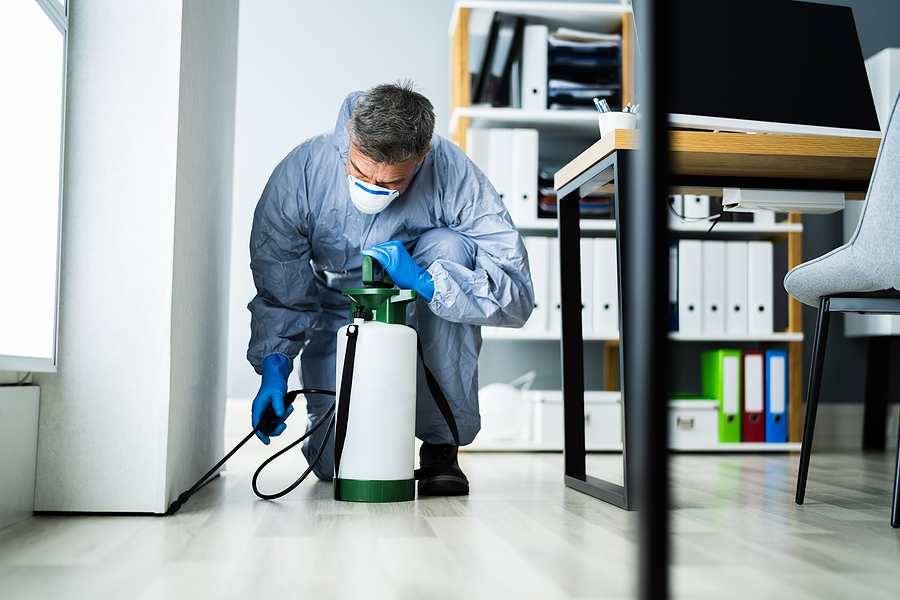 Seasonal Infestation Triggers Explained by Experts in Pest Control Southeastern Wisconsin